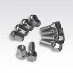 Bright Plated Wheel Lug Kit
